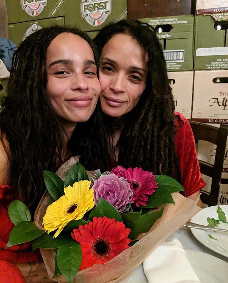 What Is Lisa Bonet Net Worth? His Earning Sources 2024