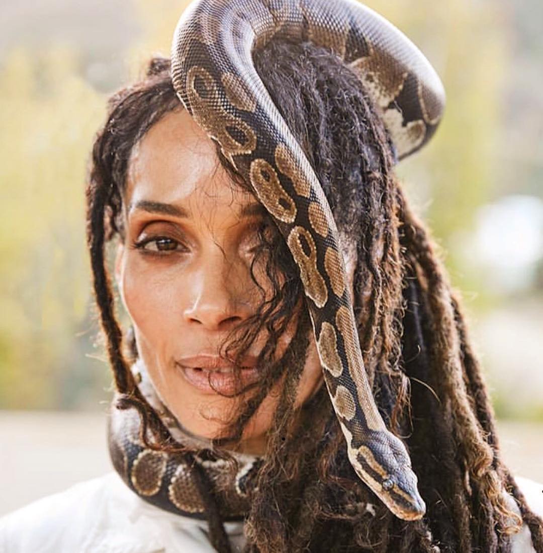 What Is Lisa Bonet Net Worth? His Earning Sources 2024