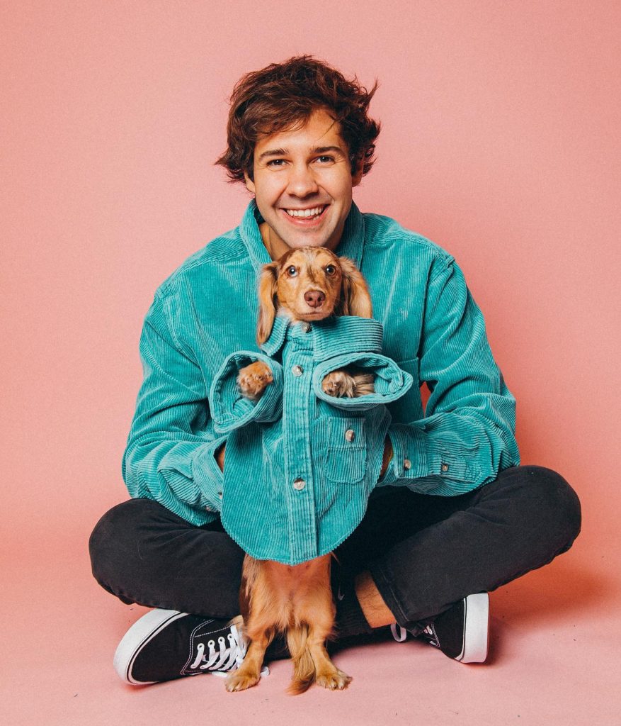 David Dobrik Net Worth 2024: How Much Is He Worth