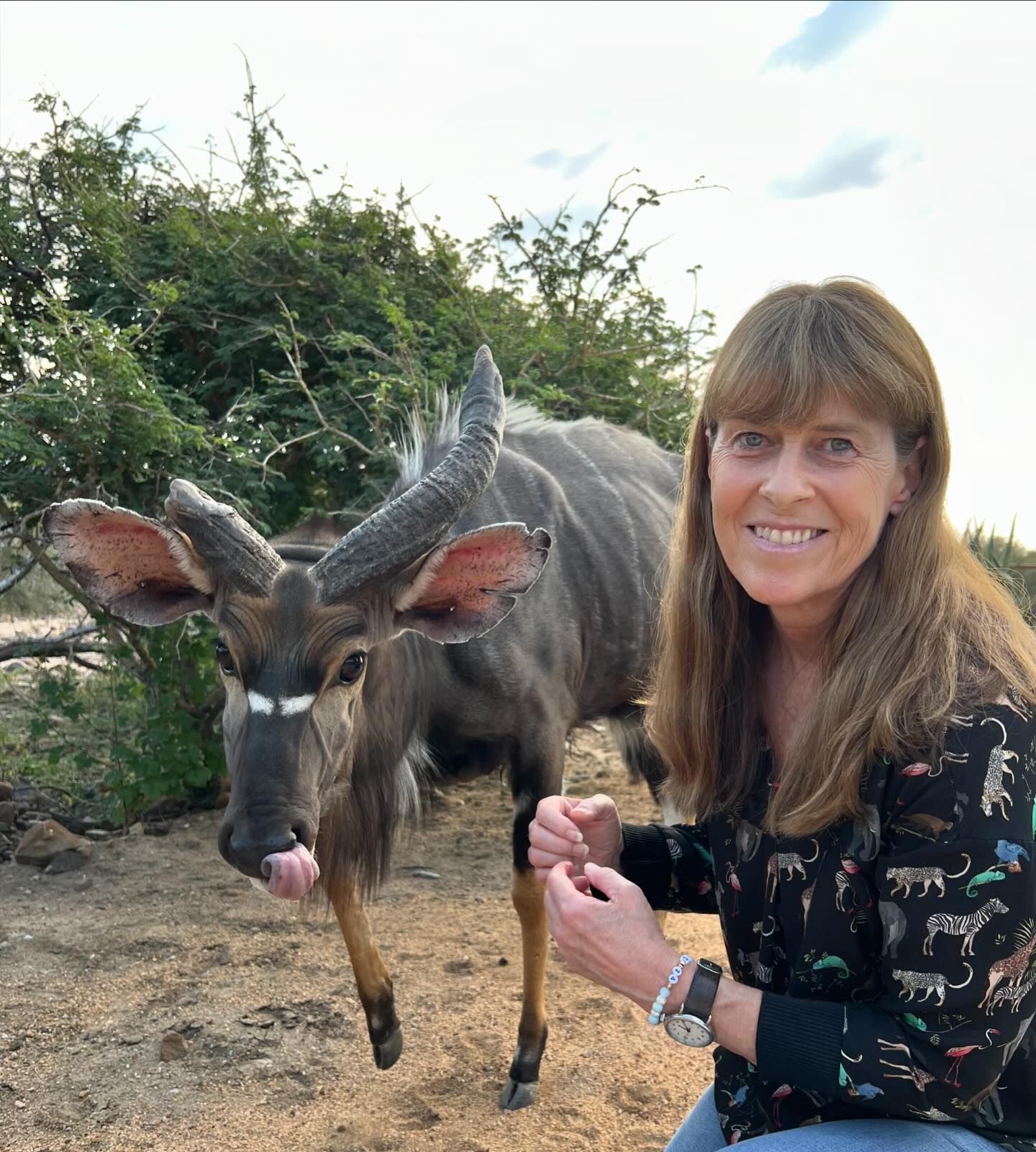 Terri Irwin Net Worth 2024: How Much Is She Worth